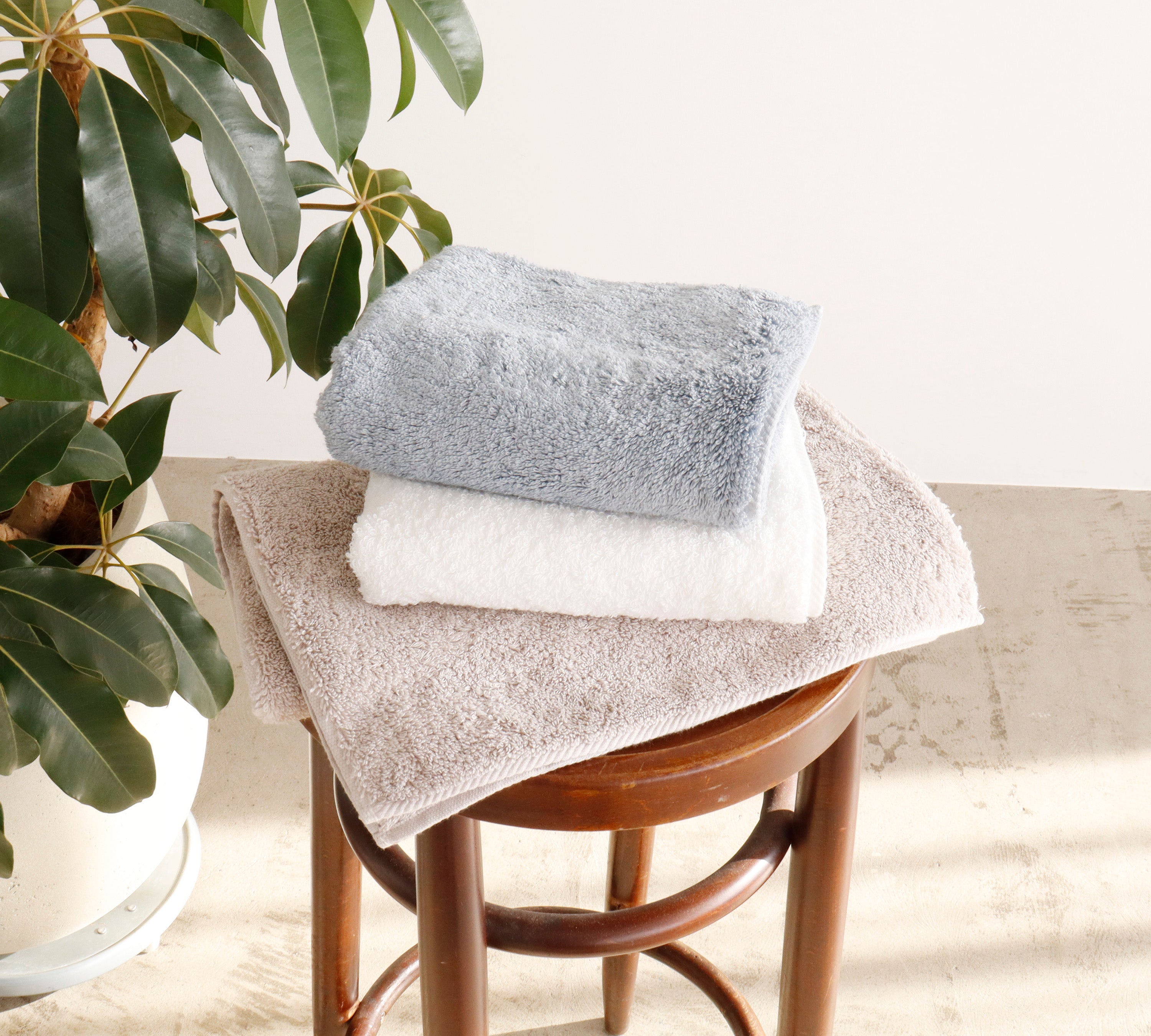 TOWEL THINK LAB』 NEWカラー フェイスタオル – タオル美術館